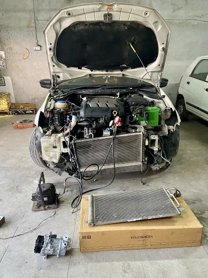 શ્યામા MULTI CAR WORKSHOP