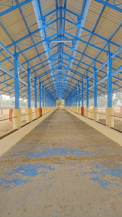 Shree Rang Painting Services