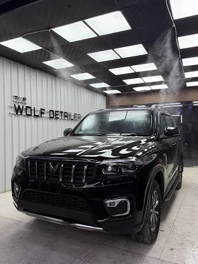 The Wolf Detailer Rohtak