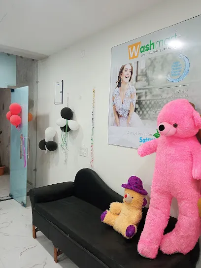 Smart Wash Laundry Experts