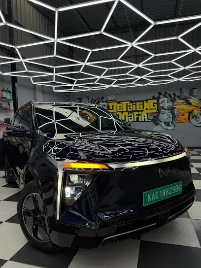 The Detailing Mafia Bannerghatta Bangalore | Car detailing | Paint Protection Film | Ceramic & Graphene Coating