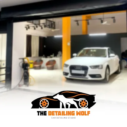 The Detailing Wolf