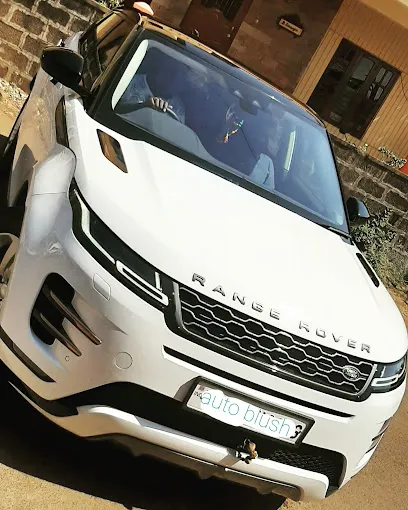 Auto Blush car washing