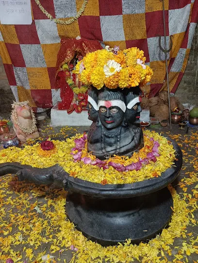 Baba Pashupati Nath Mandir (shiv mandir)