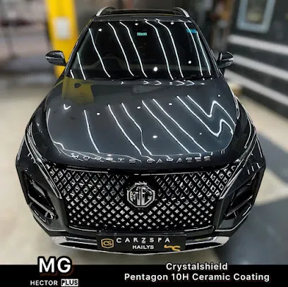 CarzSpa Haily's - Car Detailing, PPF and Ceramic Coating Studio, Vadodara