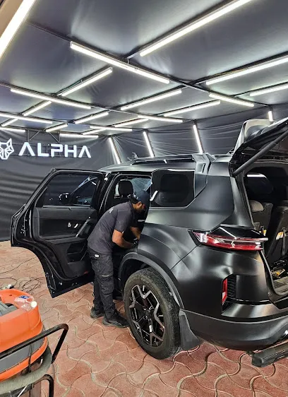 Detailing Alpha Automotives