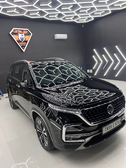 Detailing Wolves Kovaipudur