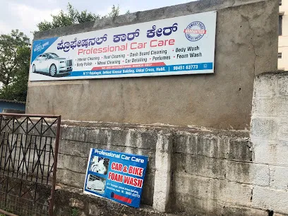 Frofessional Car Care