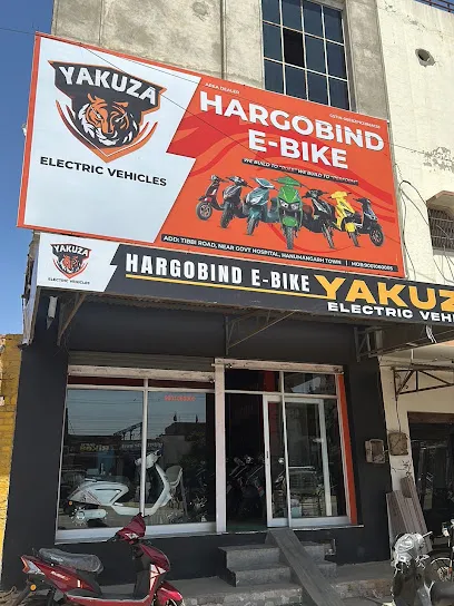 Hargobind Motors electric scooter shop