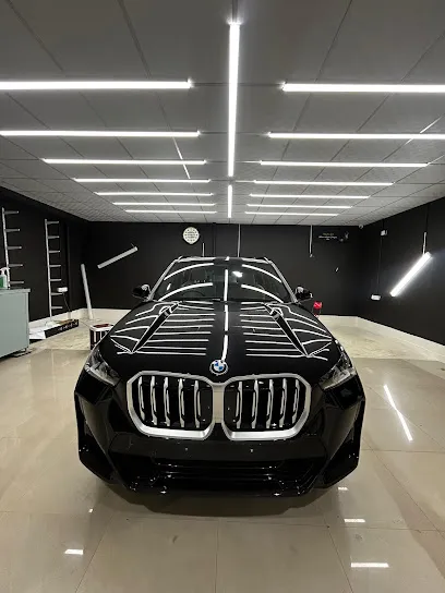 Nexus auto shield