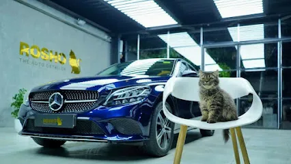 ROSHO The Auto Detailer