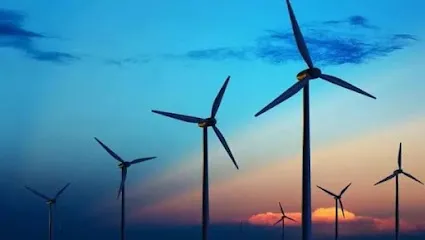 Shree Sawariya Car wash & car care