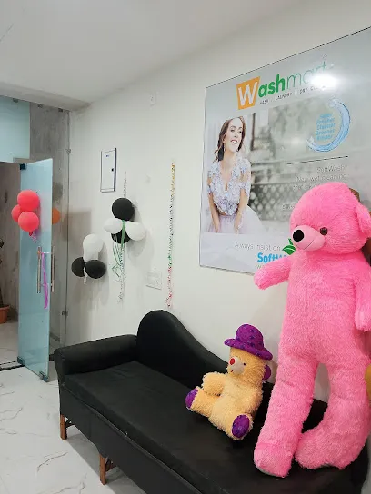 Smart Wash Laundry Experts