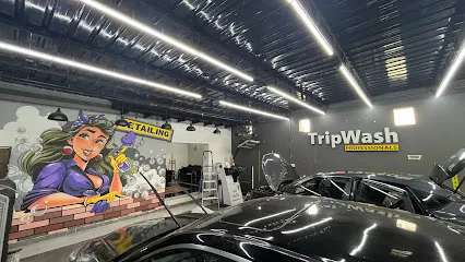 Tripwash Professionals