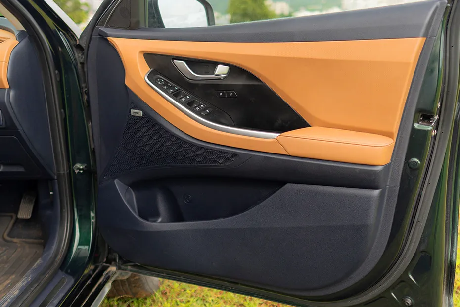 Hyundai Alcazar Drivers Door Panel