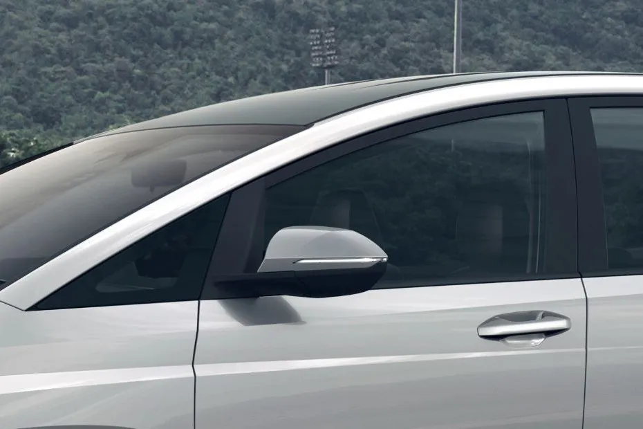 Hyundai Stargazer Side Mirror (Body)