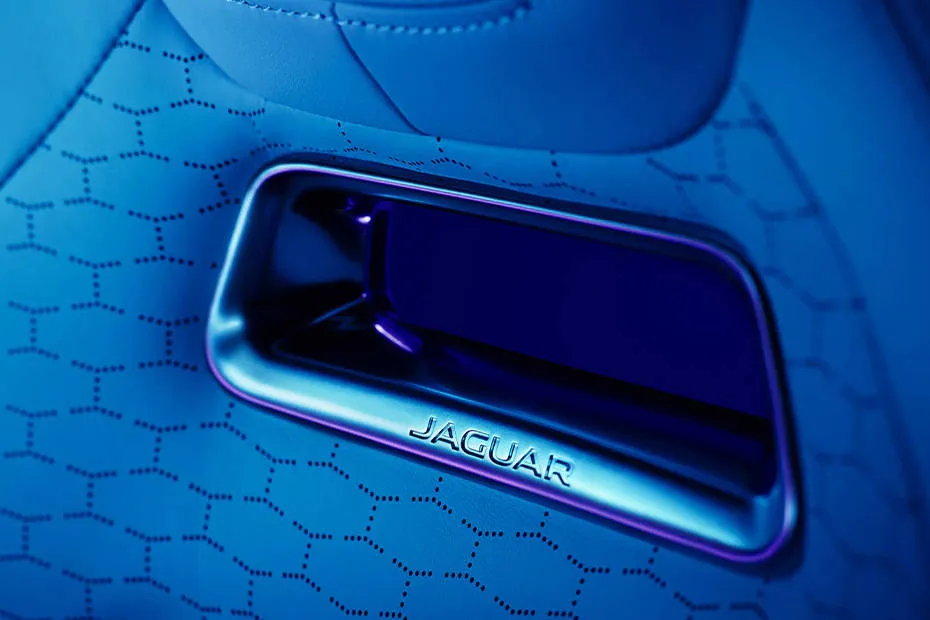 Jaguar F-Pace Door Handle
