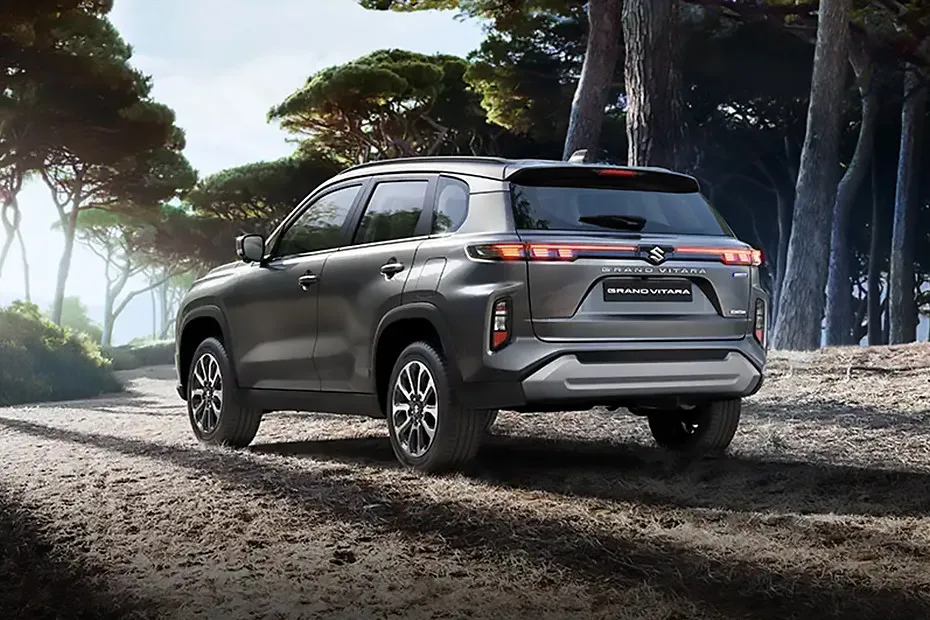 Grand Vitara image