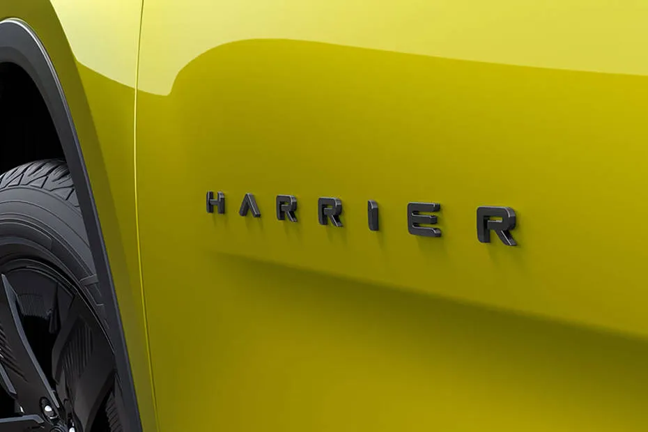 Harrier image
