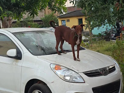 AFRINA TATA MOTORS(DIESEL CAR MECHANICAL WORKS )