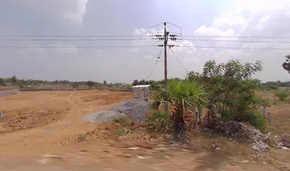 Alampakkam salai tindivanam