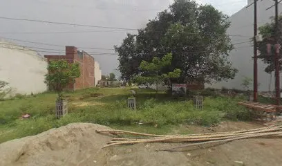 Apex auto garage