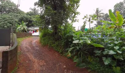 Arena service Muvattupuzha