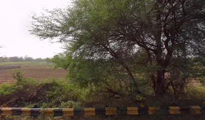 Ashapura Auto Garrage