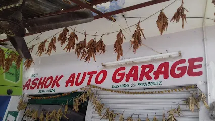 Ashok Auto Garage