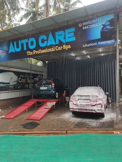 Auto Care Professional Car Spa
