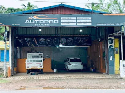 AUTO PRO Detailing