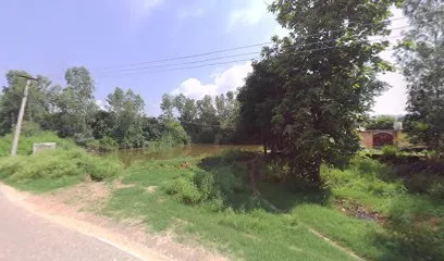 Auto repairing