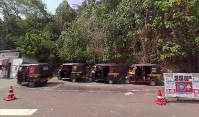 Auto stand