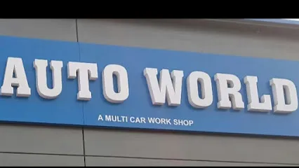 Auto world multicar workshop