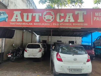 AutoCat