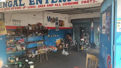 Bengal motor repairing works