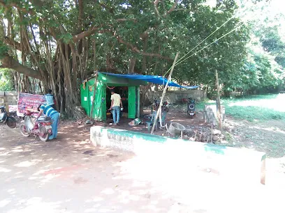 Bhanu Autolink