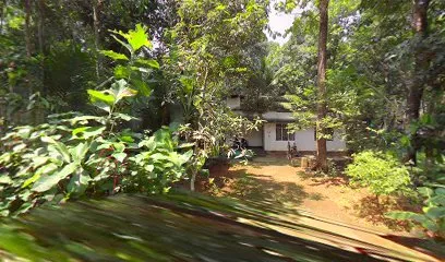 Biju automobile workshop