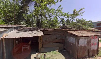 Biki Roy