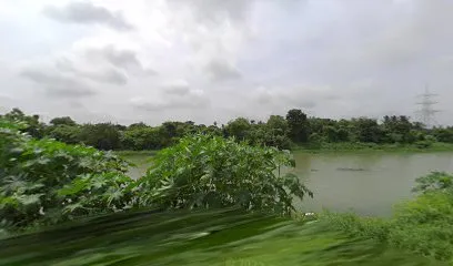 Camera 1