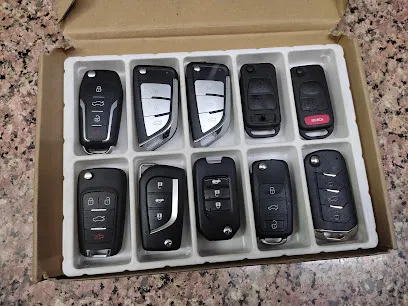 Car Mechanic and car electric