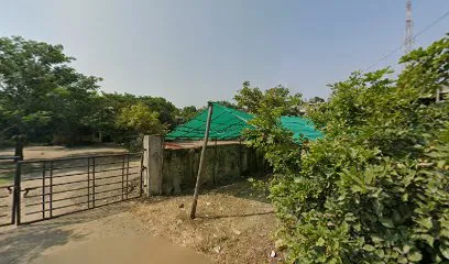 Castrol Service - Aamer Motor Garage