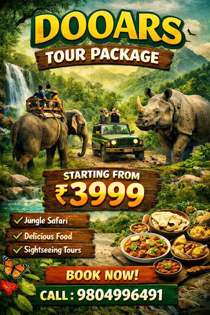 D Car Rental