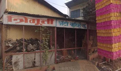 DAMINI AUTOMOBILES BARSHI