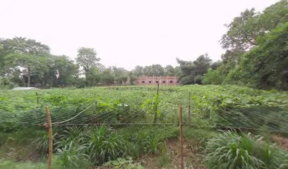 Dashrath Motorcycle Garage