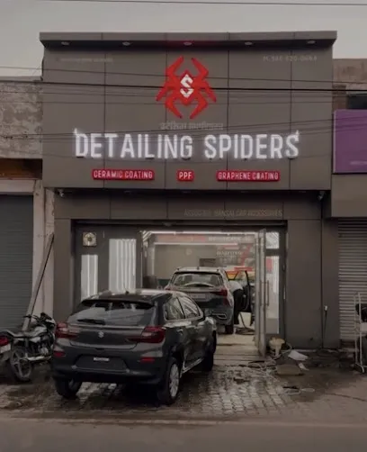 Detailing Spiders Barnala
