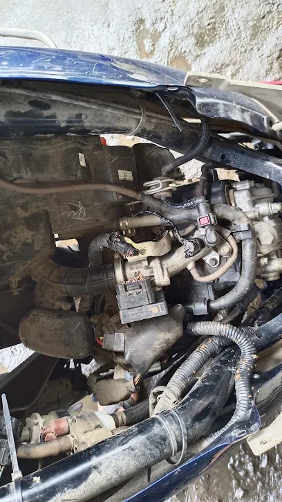 Deva auto garage waliv