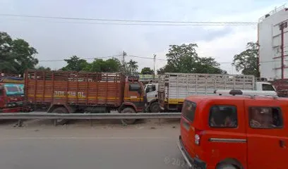 Eco Rider