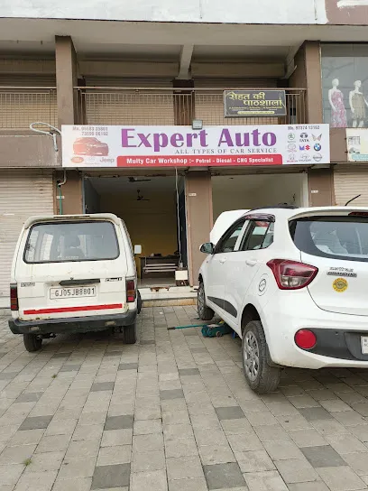 Expert auto