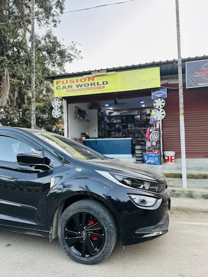 Fusion Car World
